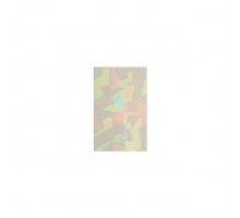 Наклейка голографическая HARIMITSU E-42H Hologram Seal Clear Hologram 5*30см